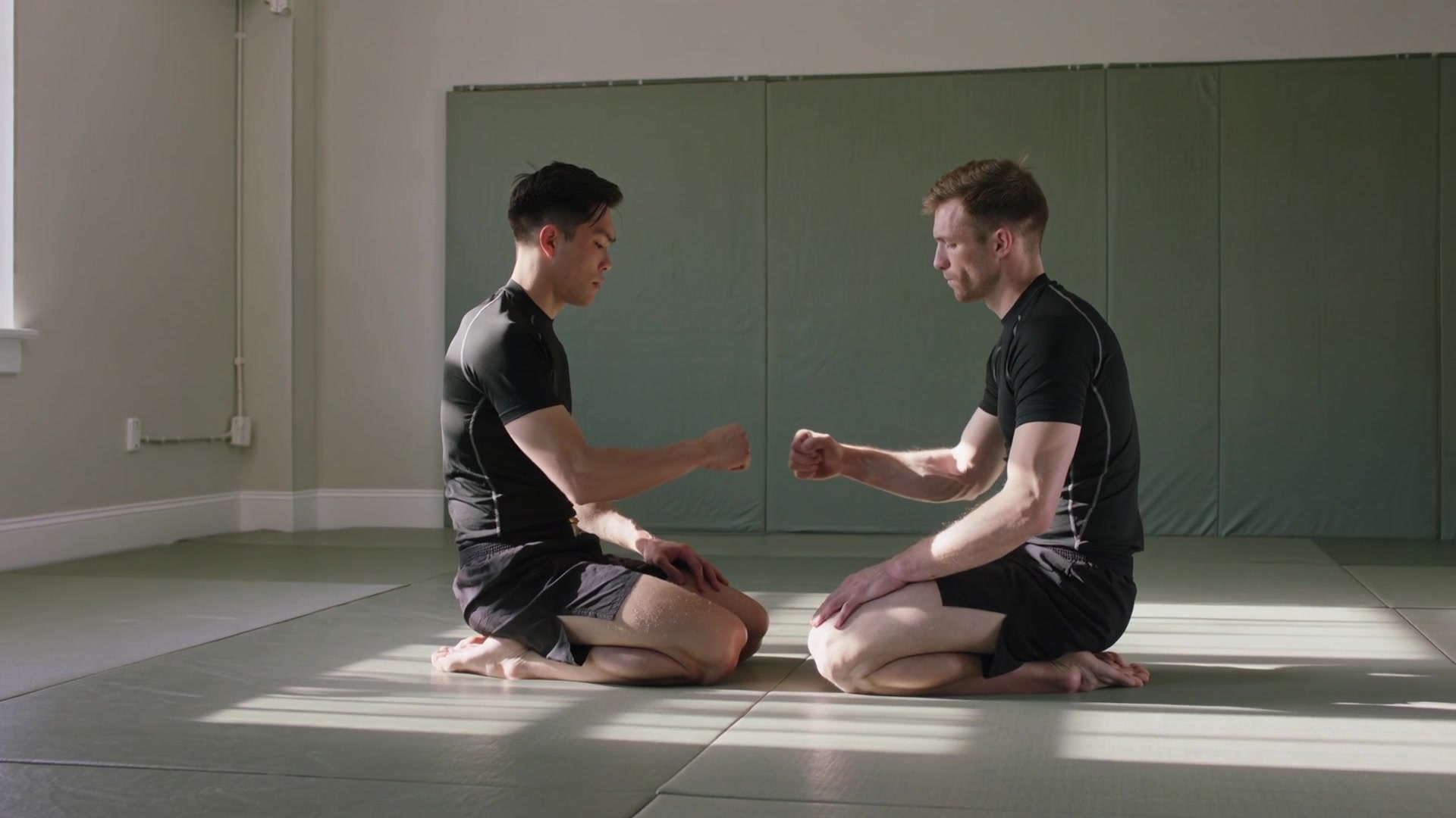 No-gi partner practice